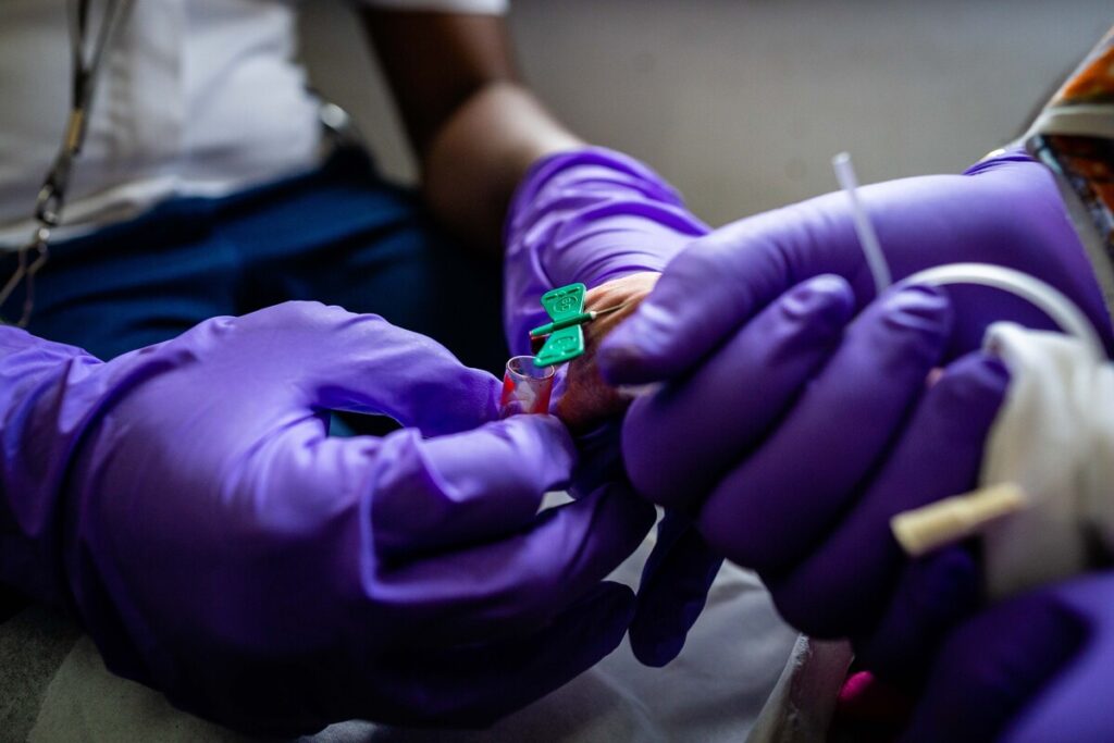 Two pairs of gloved hands hold the end of a needle at the end of a tube collecting blood.